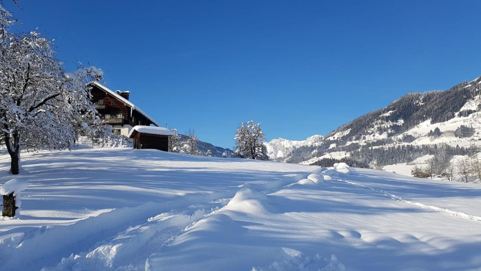 Appartementhaus Goldnugget Schwarzach im Pongau Exterior photo