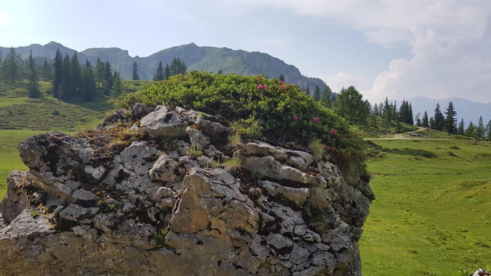 Appartementhaus Goldnugget Schwarzach im Pongau Exterior photo